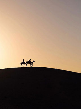 The Agafay Desert's unique terrain, with the majestic Atlas Mountains in the background, offers a glimpse into traditional pastoral life.